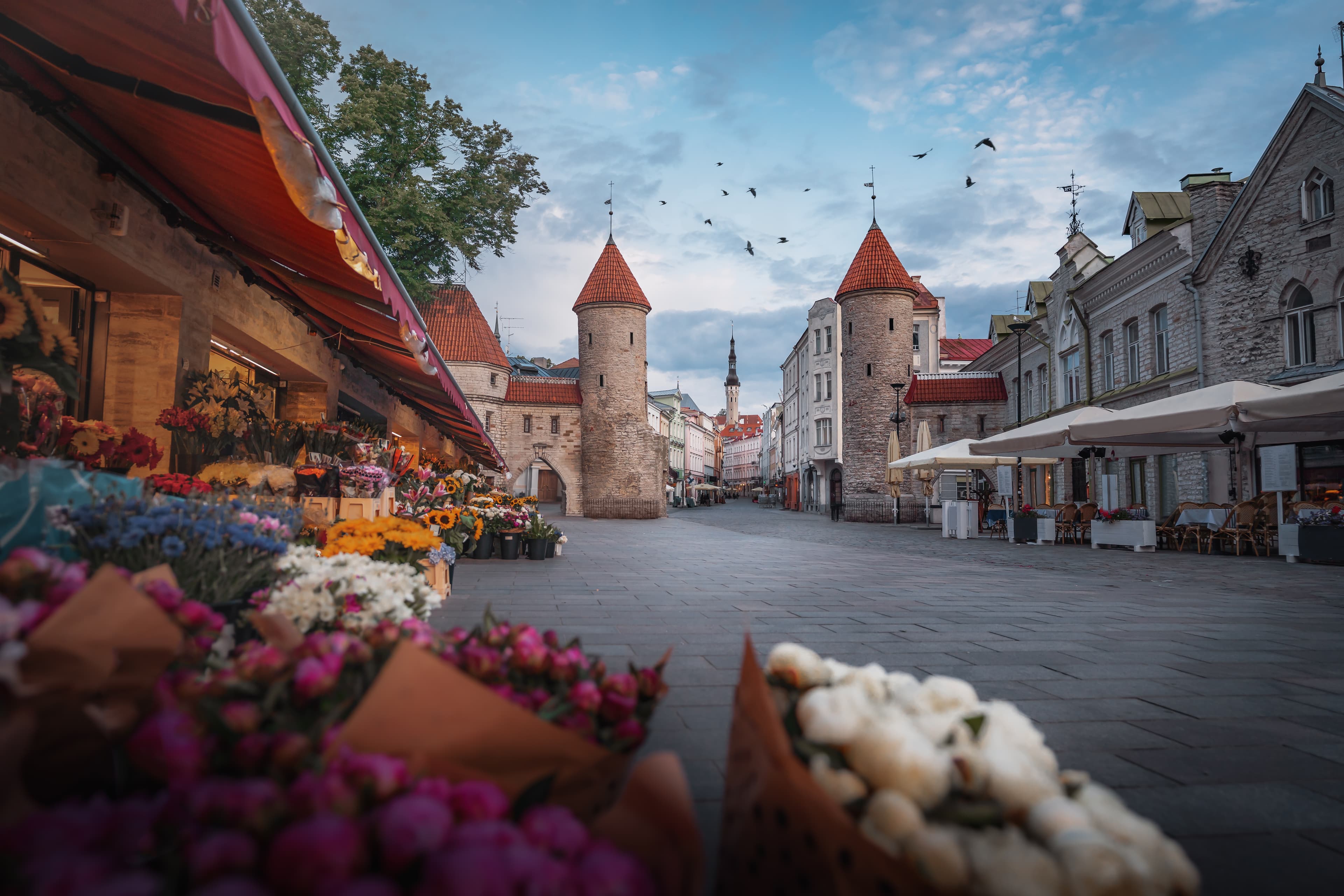 We're reimagining a fairer way to visit Estonia
