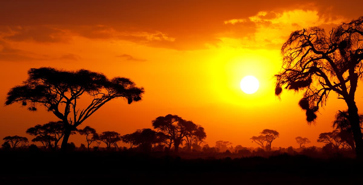 Odyssee Safari in Kenia und Tansania