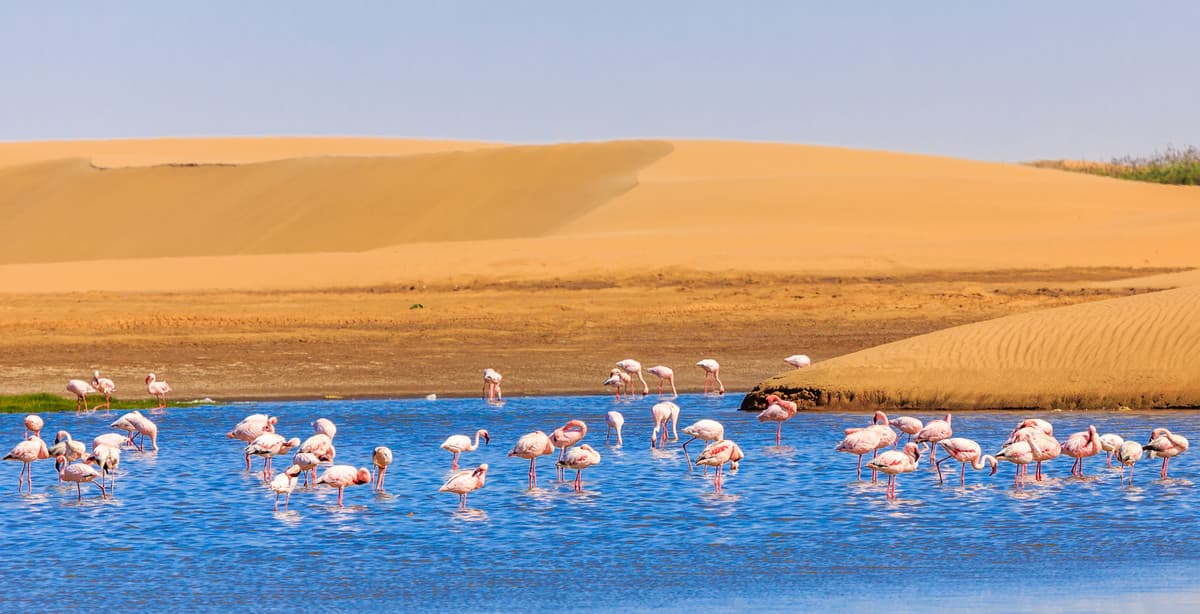 14 Tage Namibia Highlights