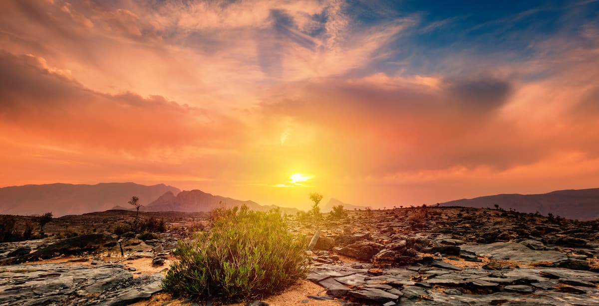 Beautiful Oman across cities, coast & sands