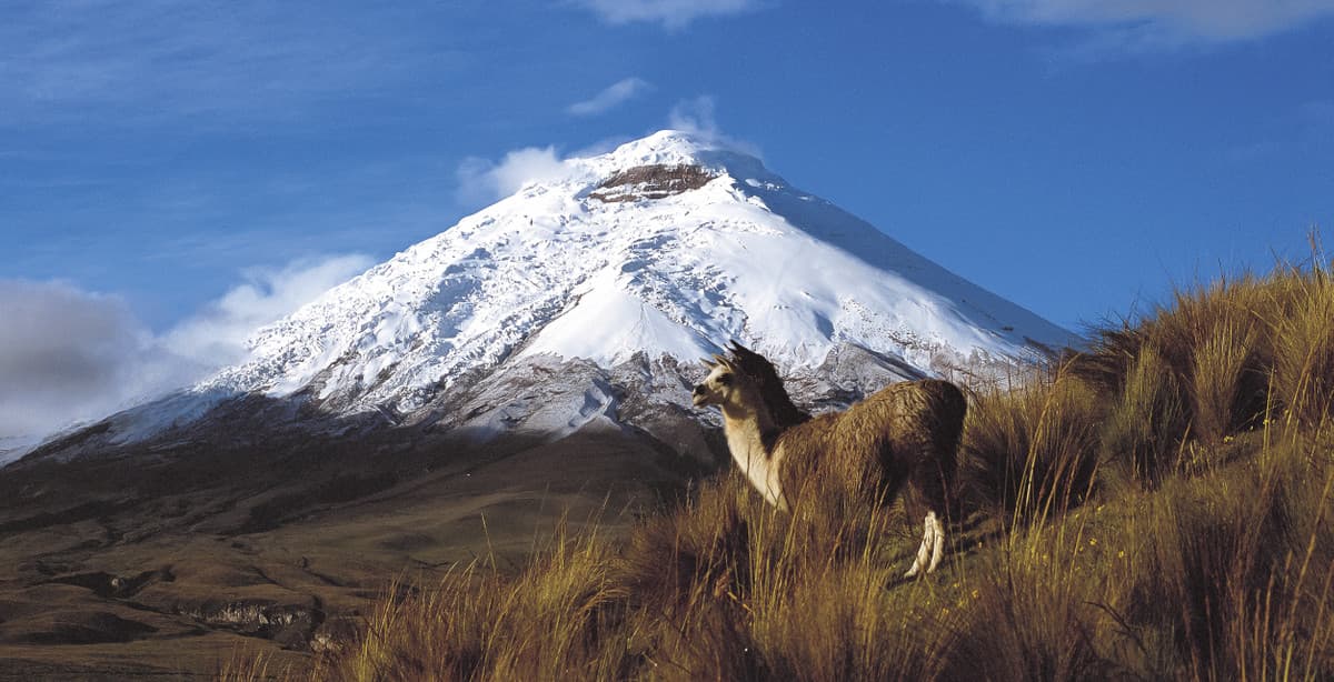 8-day Ecuador adventure in the Upper Amazon