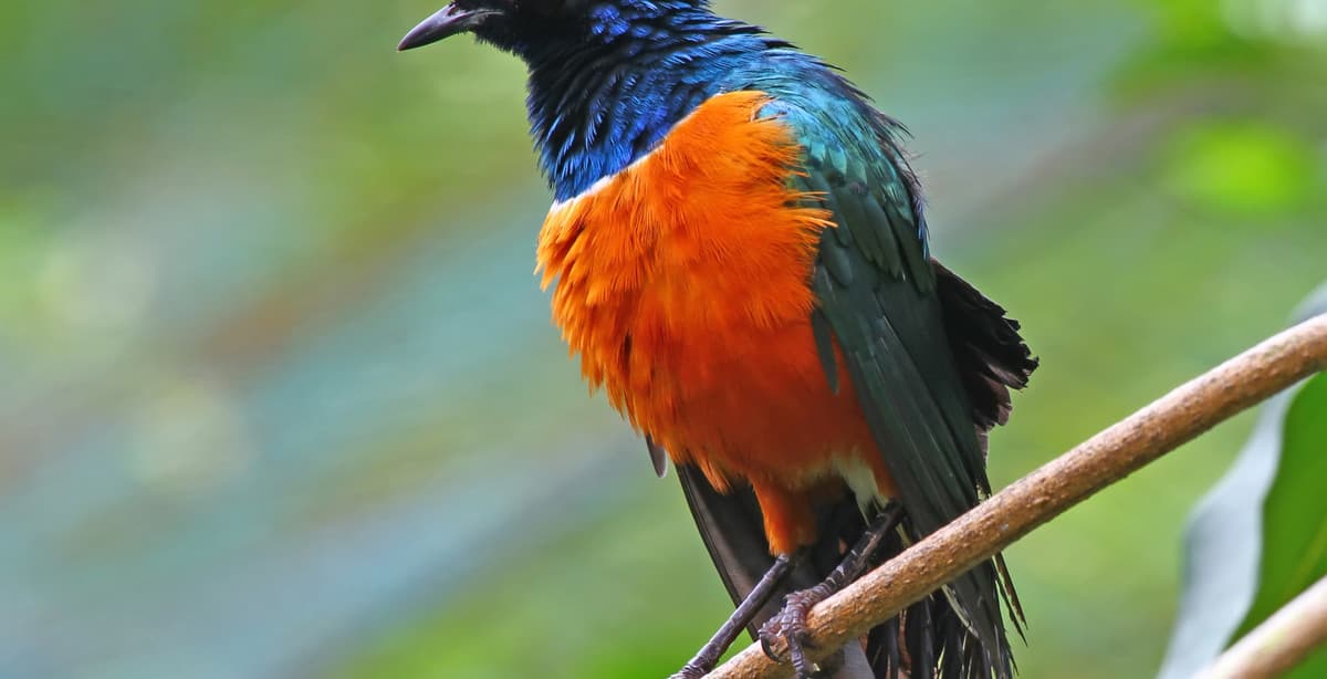 12-day fun-filled Malaysia family adventure