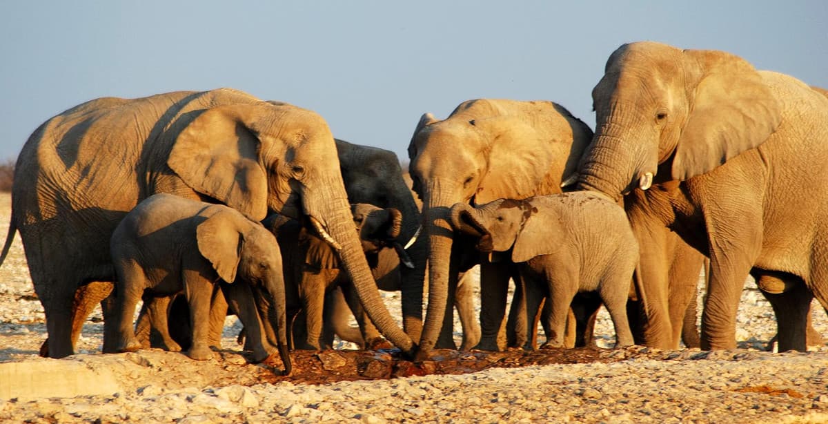 Familienreise durch Namibia