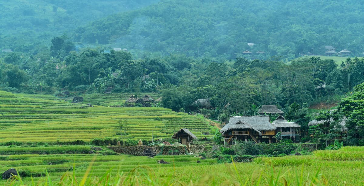 Trekking the Mai Chau Valley & Pu Luong Nature Reserve
