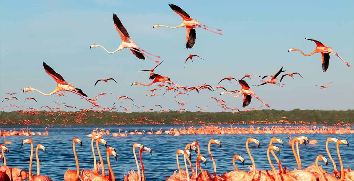 Hidden beaches on the Gulf of Mexico