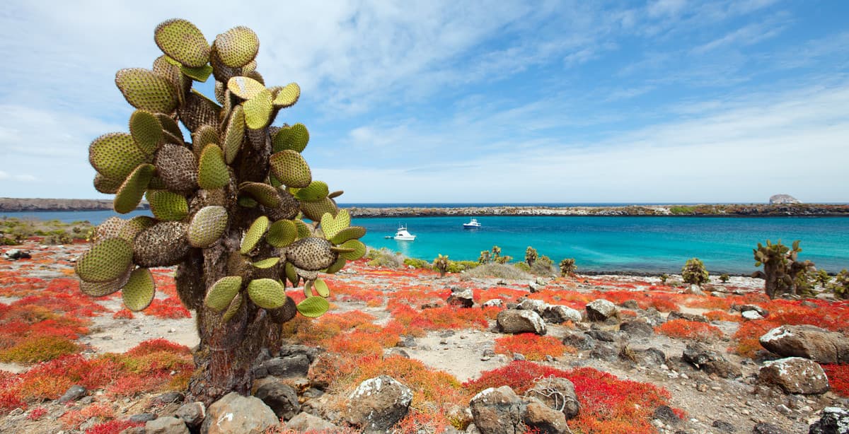7 Day Enchanted Galapagos Islands Adventure