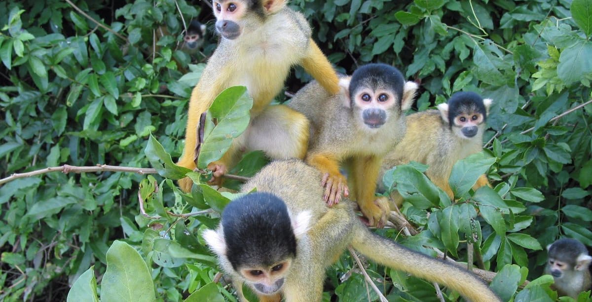 Epic Bolivia tour from Altiplano to Amazon