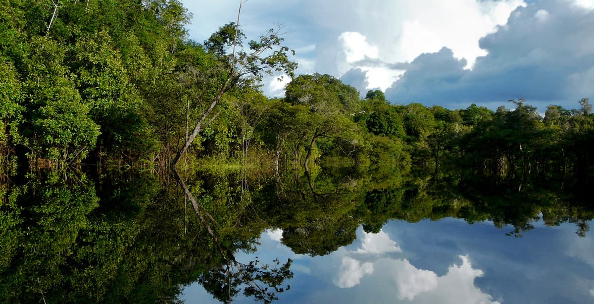 Amazon River Boat Cruise