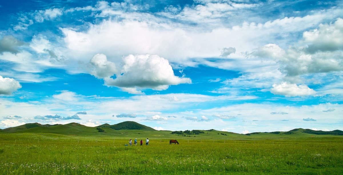 12 Tage im Westen der Mongolei