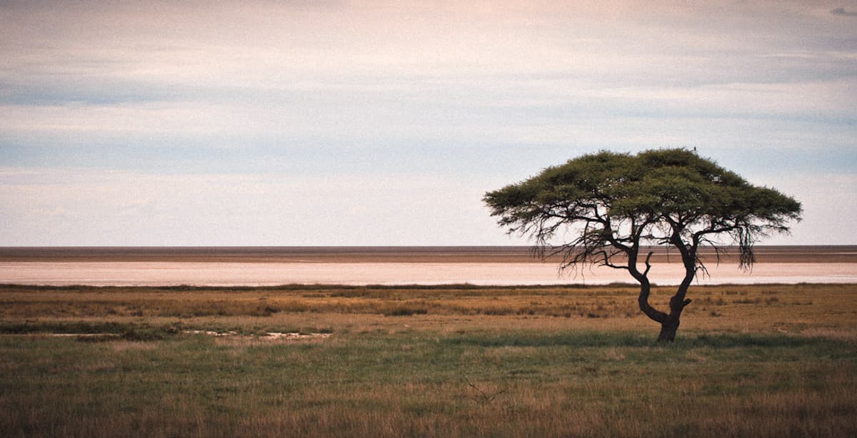 Unberührte Weiten auf Namibia Tour