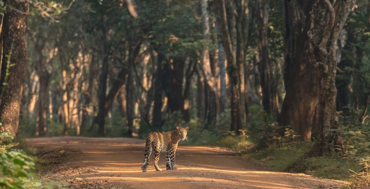 A luxury escape through Sri Lanka