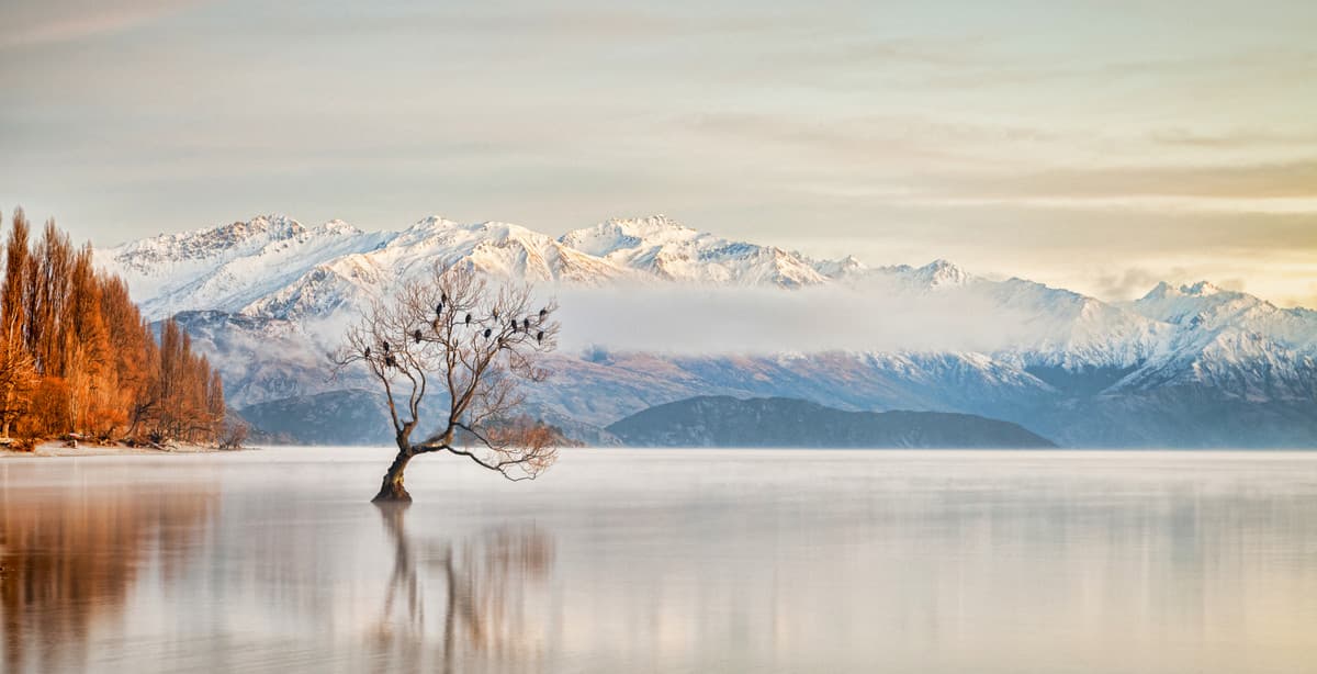 The ultimate New Zealand road trip