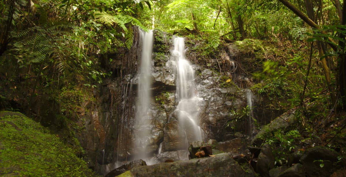 9 Days of Natural Sri Lanka
