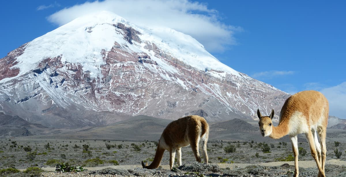20-Day Tour: Highlights of Ecuador