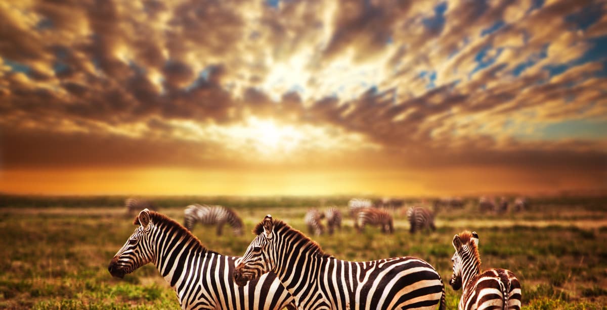 9-day adventure through the heart of Tanzania