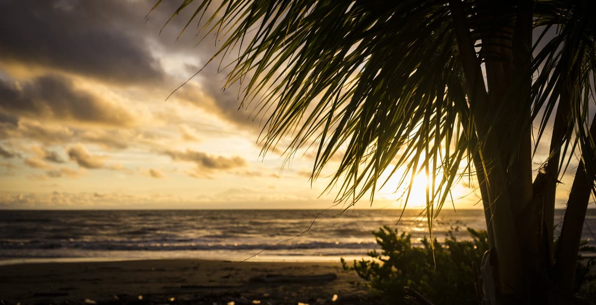 10 Day Medellín, Pacific Coast and Cartagena