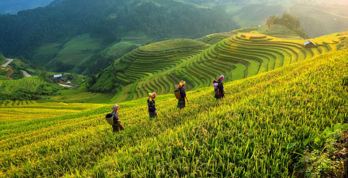 14 day Ecotour Of Laos, Cambodia, Vietnam