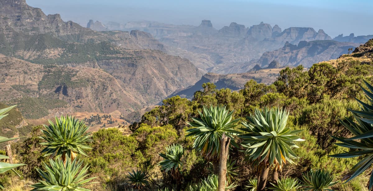 Trekking & Culture Tour of Northern Ethiopia
