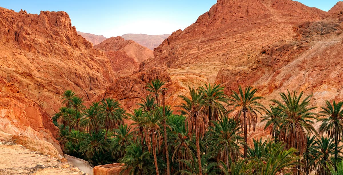 Ancient Carthage & Desert Oases