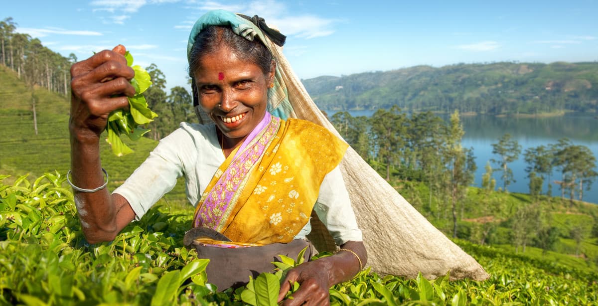 Luxusreise Einmaliges Sri Lanka in 16 Tagen