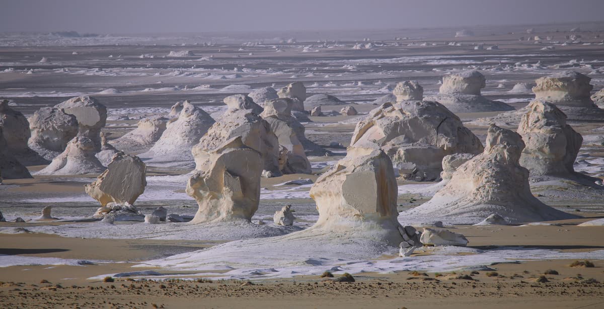 7-day Egyptian oasis discovery