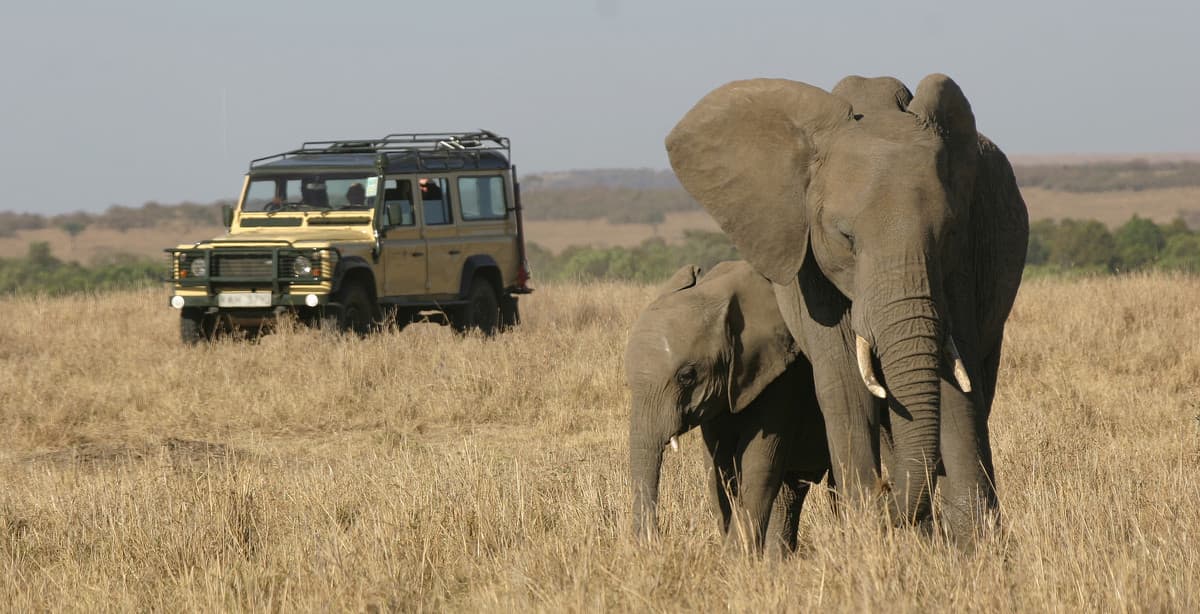 12 Day Best of Kenya Bush Adventure