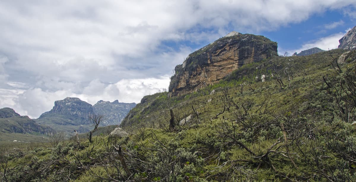 Uganda's grasslands & guided mountain hiking