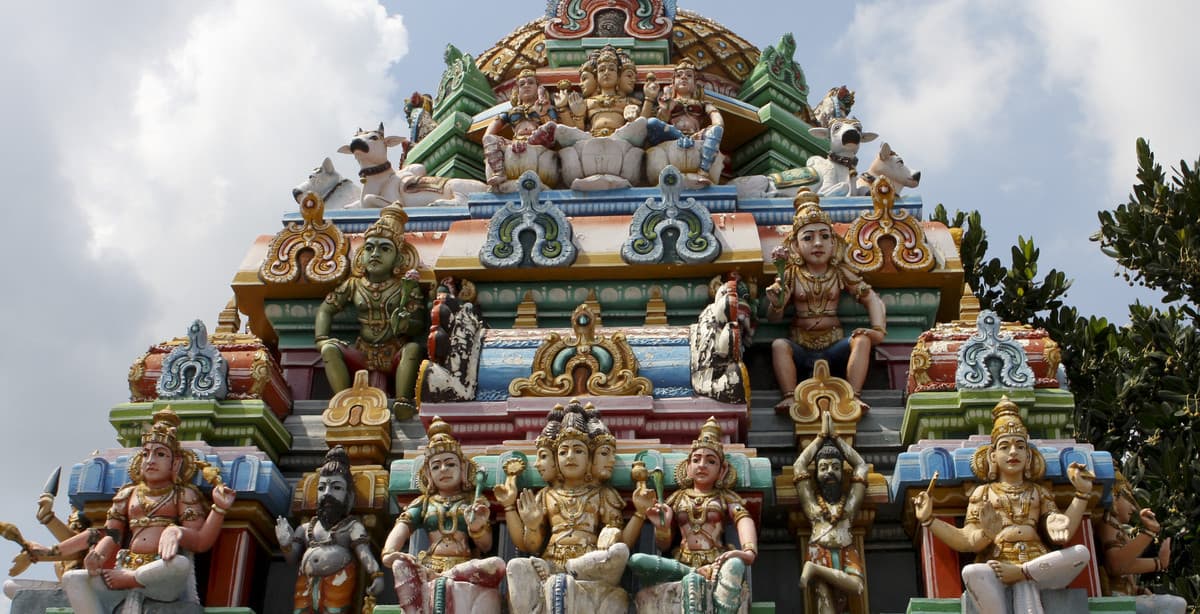 Vibrant southern India experience