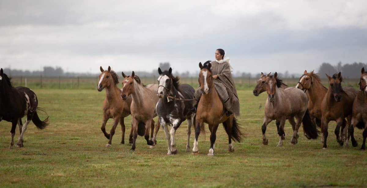 Culture & tradition: experience the gaucho way of life