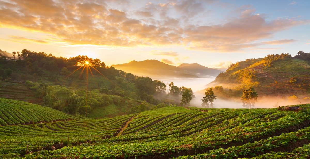 Entspannung pur in Thailand