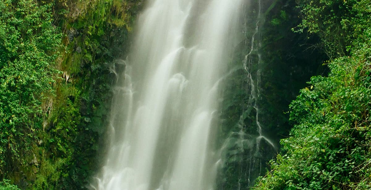 7 days in the Andes: culture & nature revitalization tour