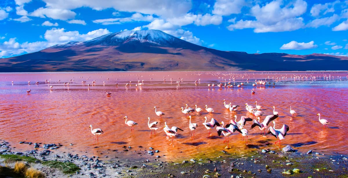 The secrets of Bolivia's south