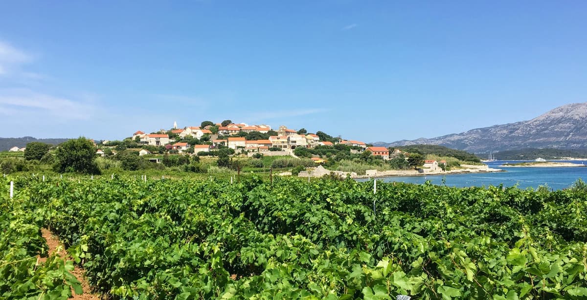 Gourmet experience in Croatia