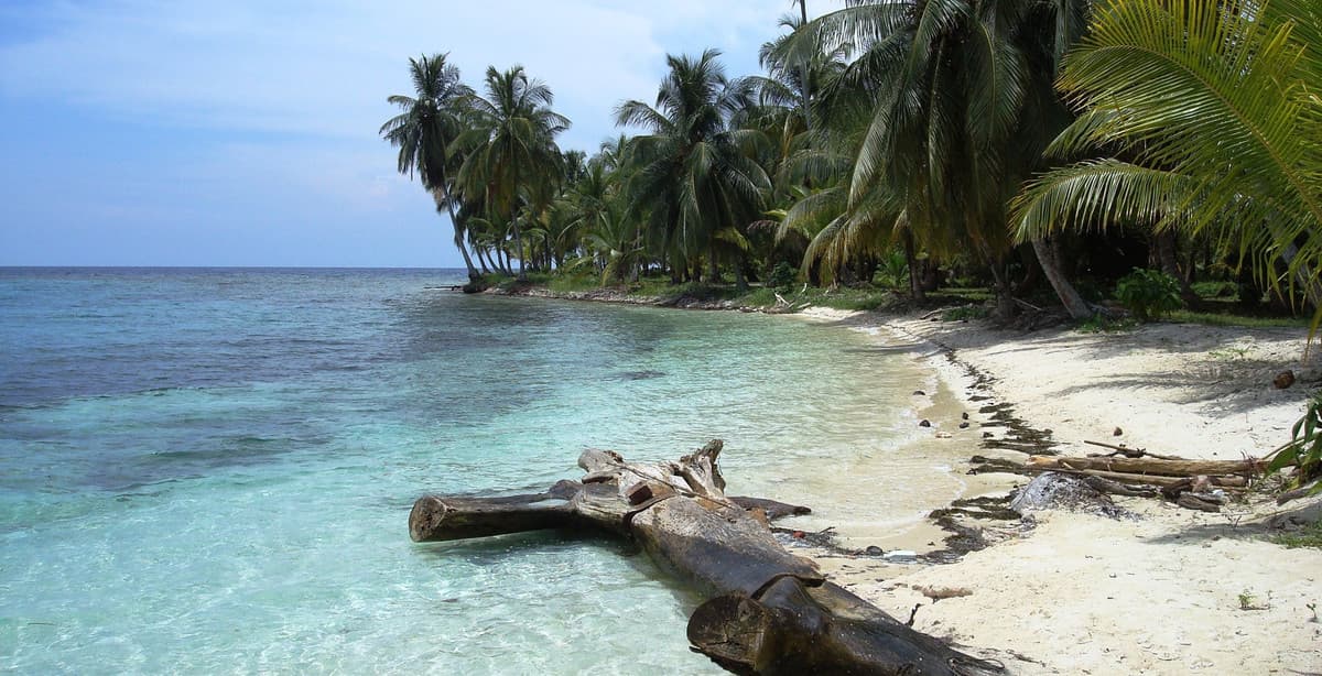 Experience the diversity of Panama
