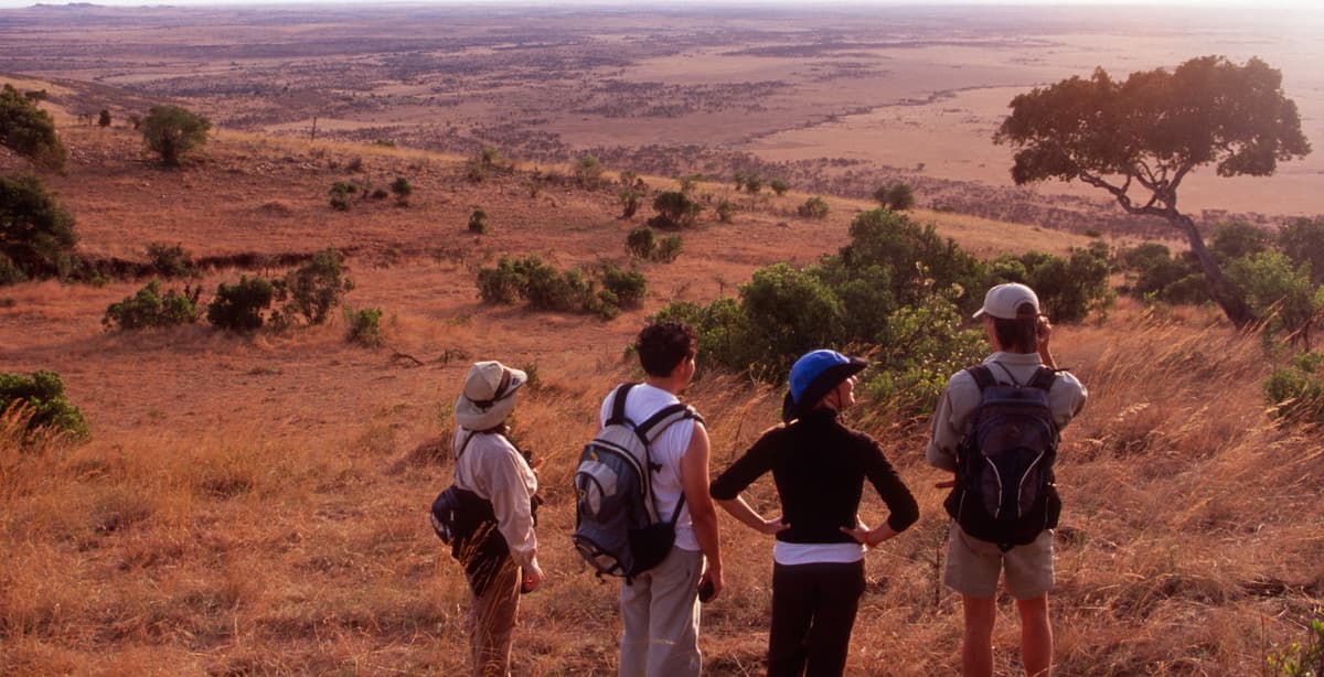 Tansania: Wildtier-Safaris, Bergbesteigungen & Sansibar