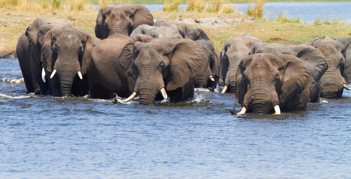 Namibia & Botswana Selbstfahrer-Abenteuer