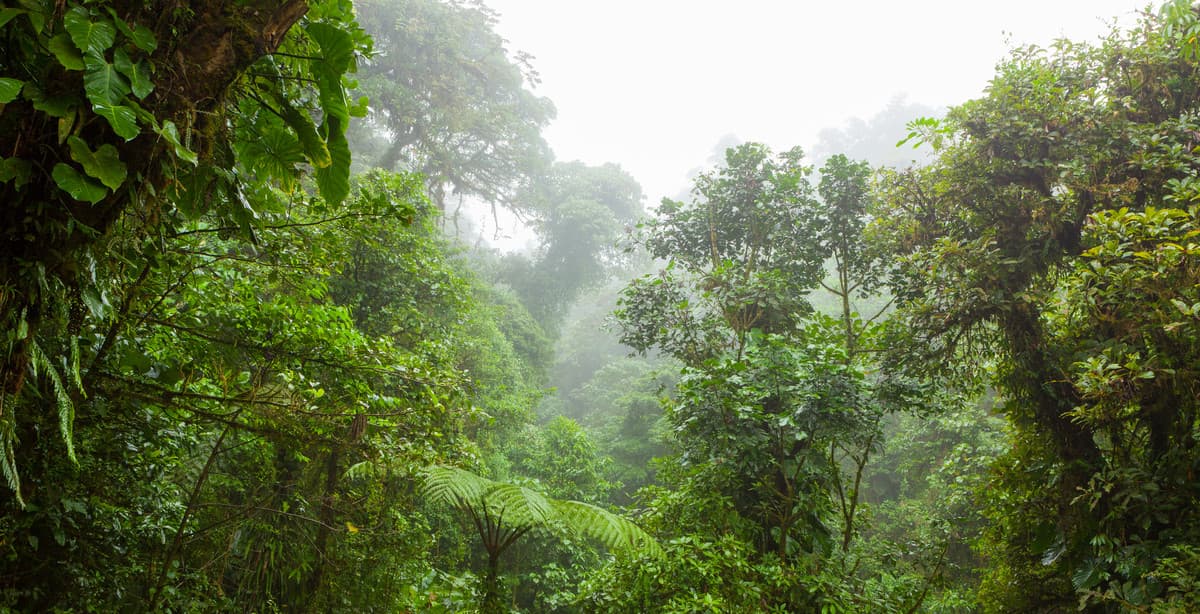 Costa Rica: an intrepid adventure
