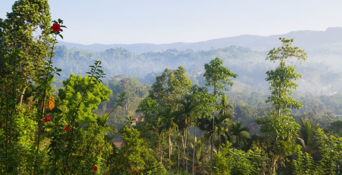 Captivating landscapes in the heart of Sri Lanka