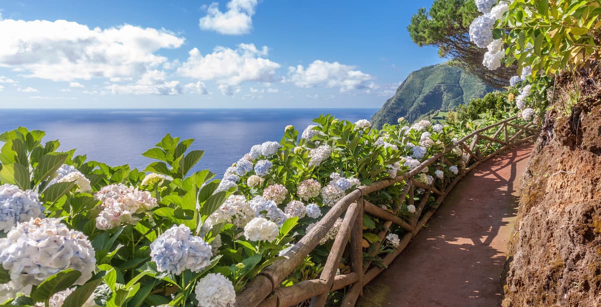 Azoren-Rundreise: São Miguel - Faial - Pico