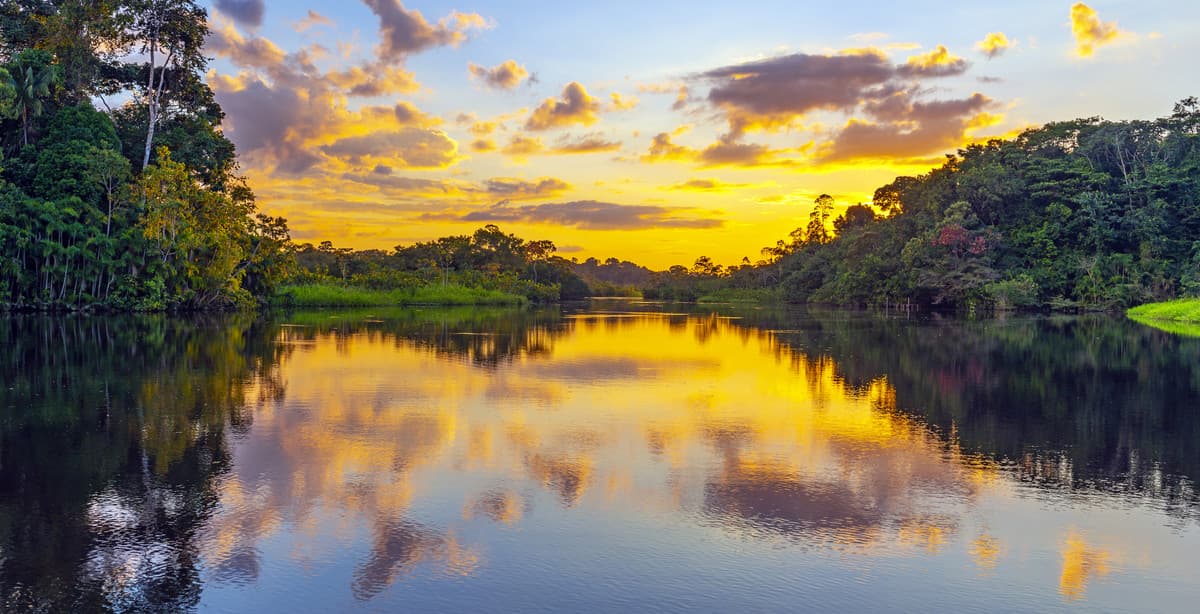 The wildlife of the Bolivian Amazon