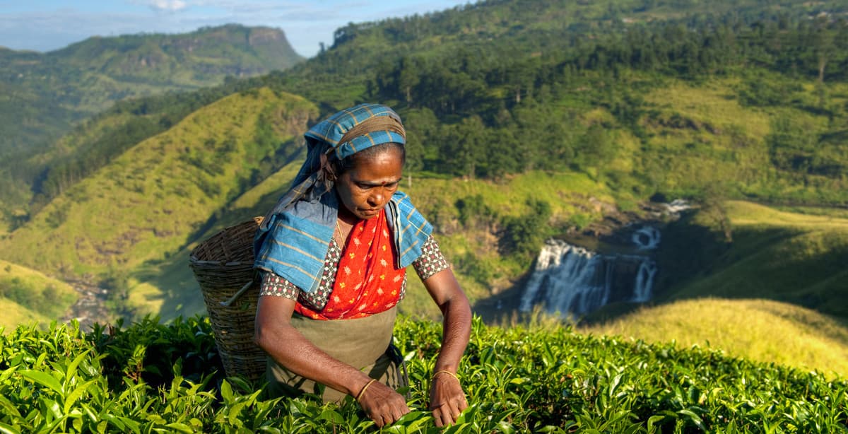 Cultural India & Sri Lanka tour