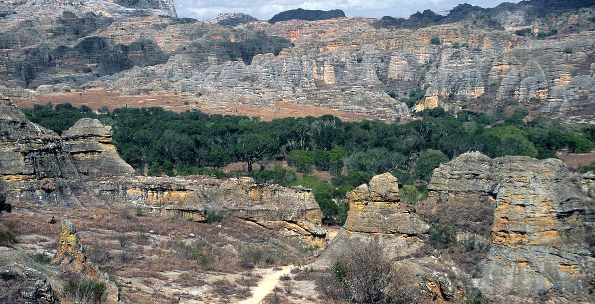 Vielfalt in Süd- und Ost-Madagaskar