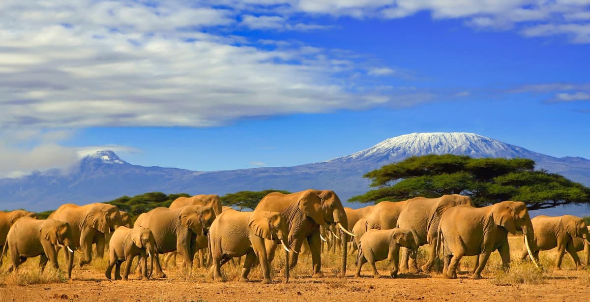 The majesty of Tanzania & Zanzibar in 10 days