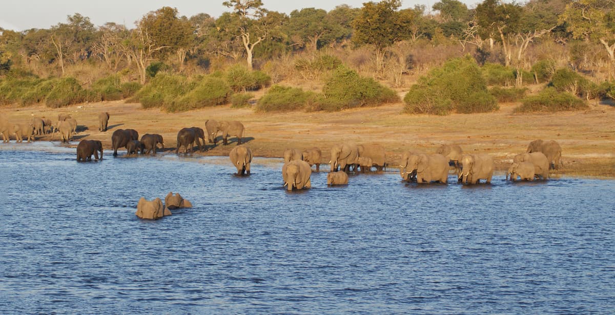 20-Day Exploration of Southern Africa