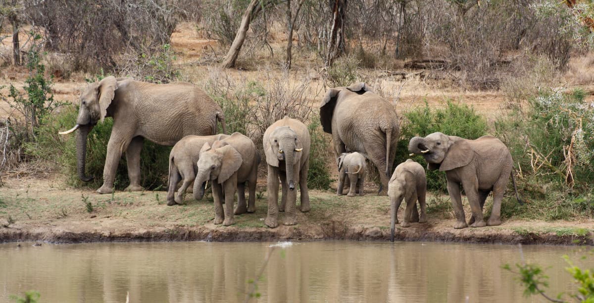 Off-the-beaten-track Kenya safari