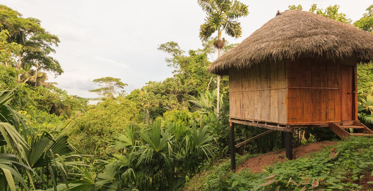 5-day journey: the magic of Ecuador's Amazon rainforest