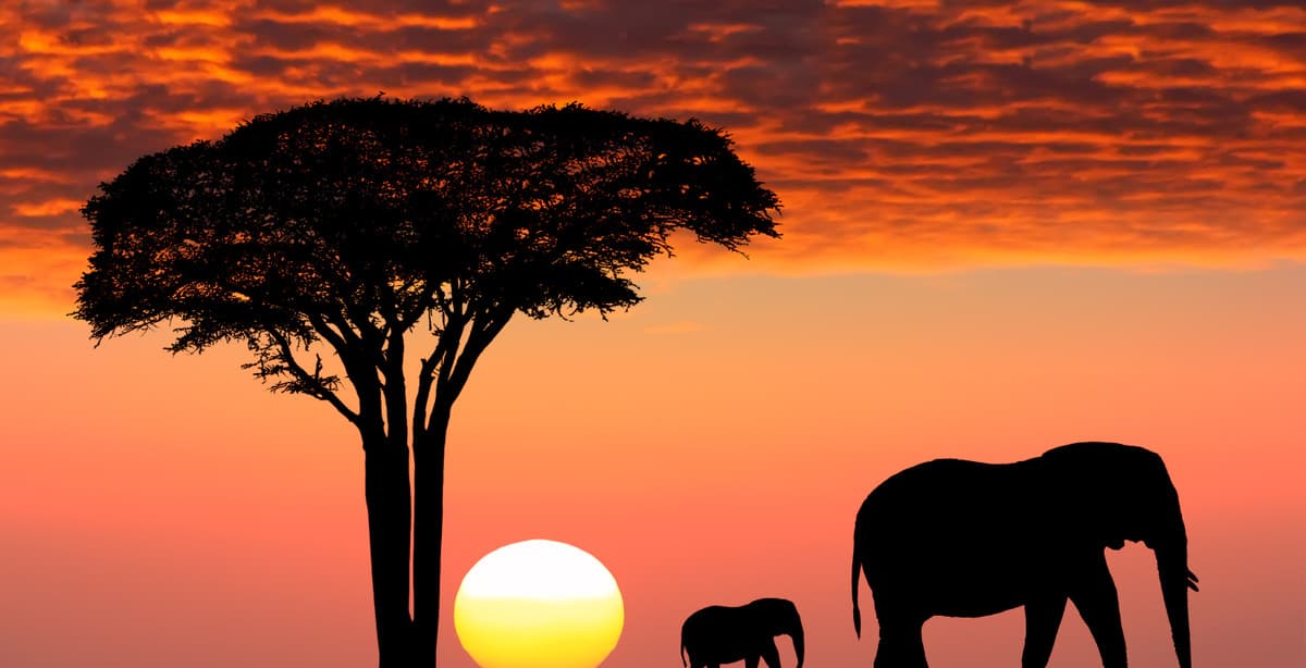Family-friendly Kenya beach & bush adventure