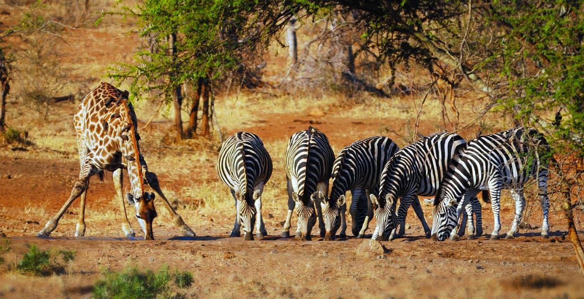 Selbstfahrer-Abenteuer für die ganze Familie im Süden Afrikas