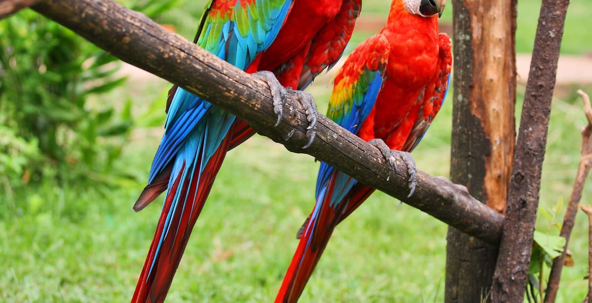 Das Inkareich Peru mit seinen Naturwundern
