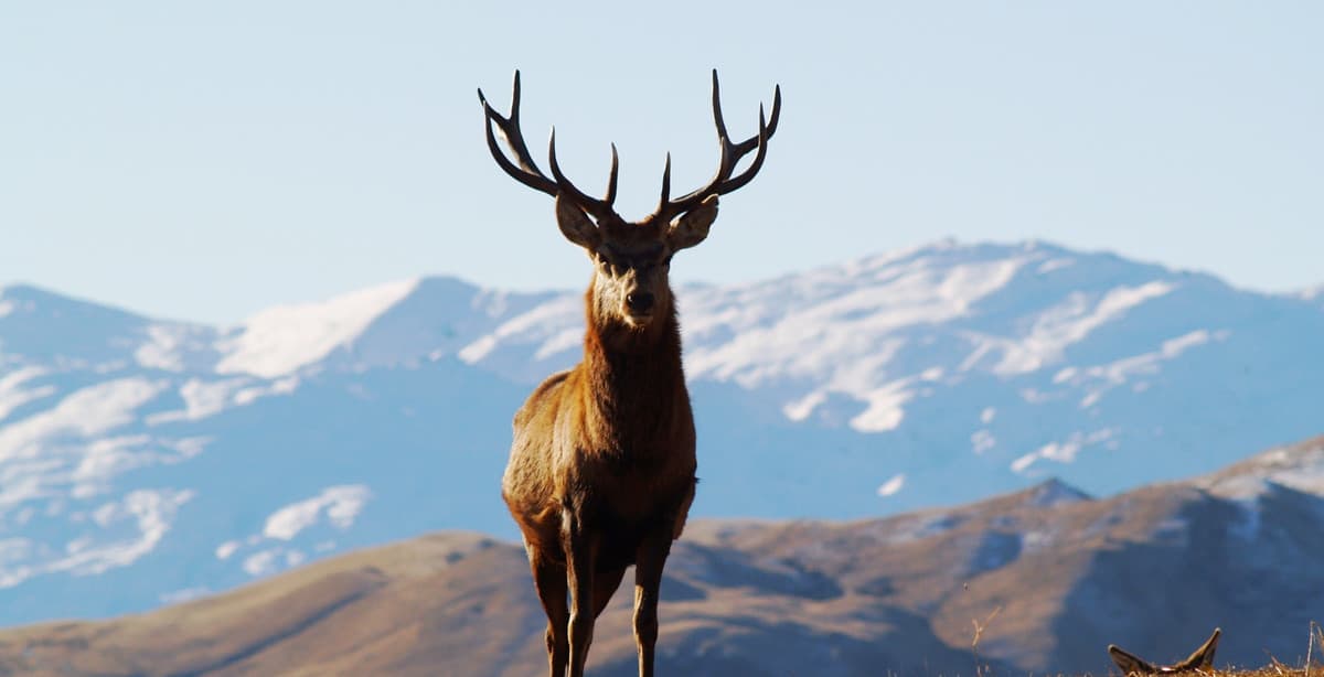 Unique & boutique 14-day New Zealand tour